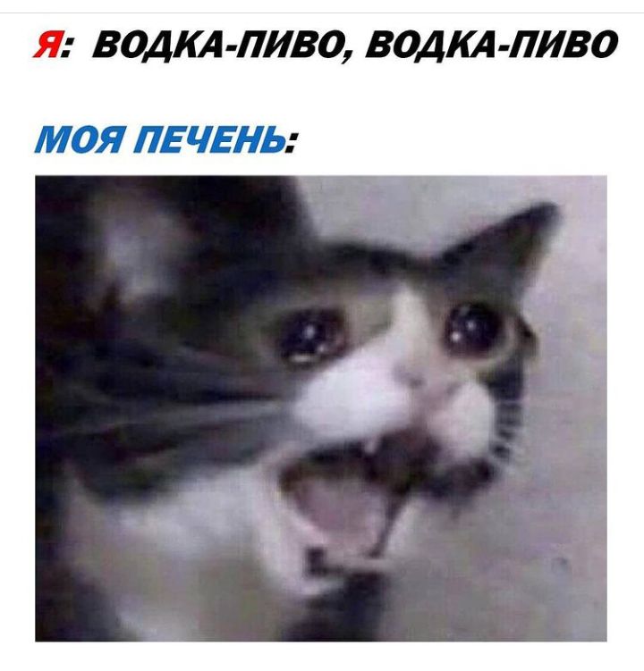 Я ВОДКА ПИВО ВОД ПИВО МОЯ ПЕЧЕНЬ