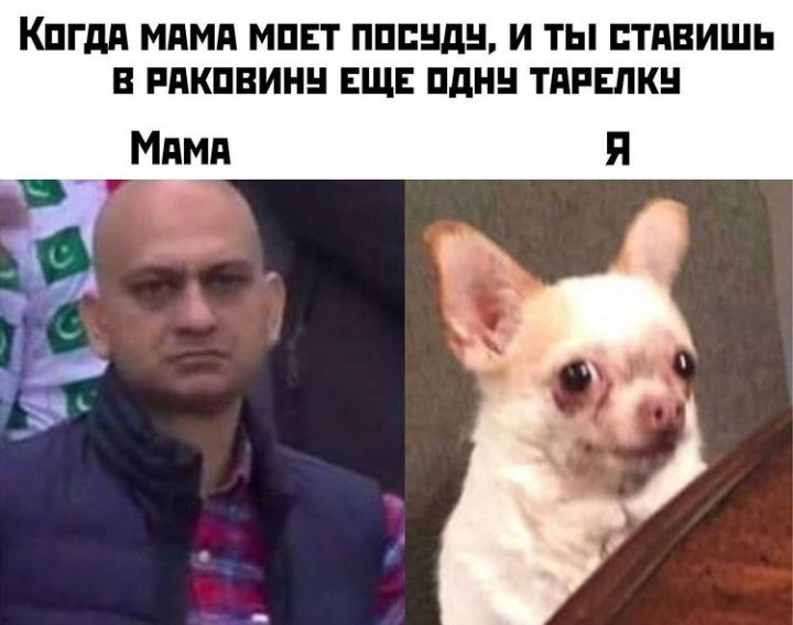 КПГдд МдМд МПЕТ ПППЕЩН И ТЫ ПТАВИШЬ В РПКПВИНН ЕЩЕ ПДН ТАРЕПКН
