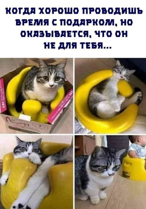 НОТДЛ ХОРОШО ПРОБОДИШЪ ВРЕМЯ С ПОМРКОМ НО ОКЛЗЫБЛЕТСП ЧТО ОН НЕ для ТЕБЯ
