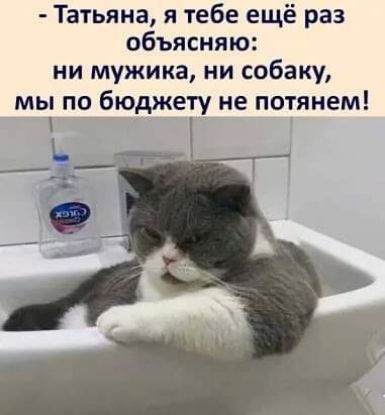 Татьяна я тебе ещё раз объясняю ни мужика ни собаку мы по бюджету не потянем