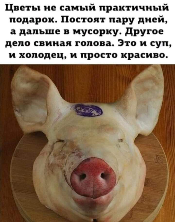 Цветы не самый практичный подарок Постоят пару дней а дальше мусорку другое дело свиная голова Это и суп и холодец и просто красиво
