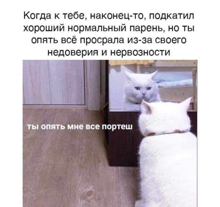 Когда к тебе наконец то подкатил хороший нормальный парень но ты опять всё просрала из за своего недоверия и нервозности