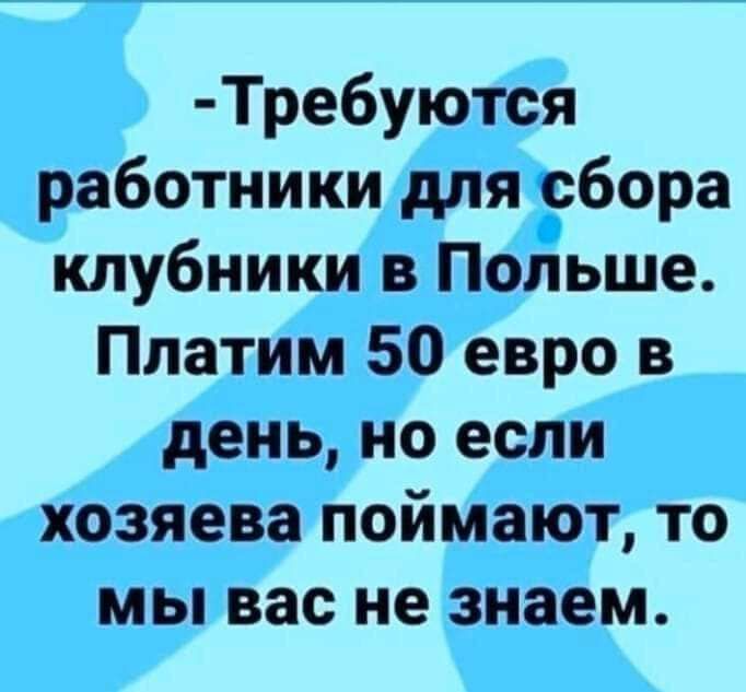 Требуются работники для сбора клубники в Польше Платим 50 евро в день но если хозяева поймают то мы вас не знаем
