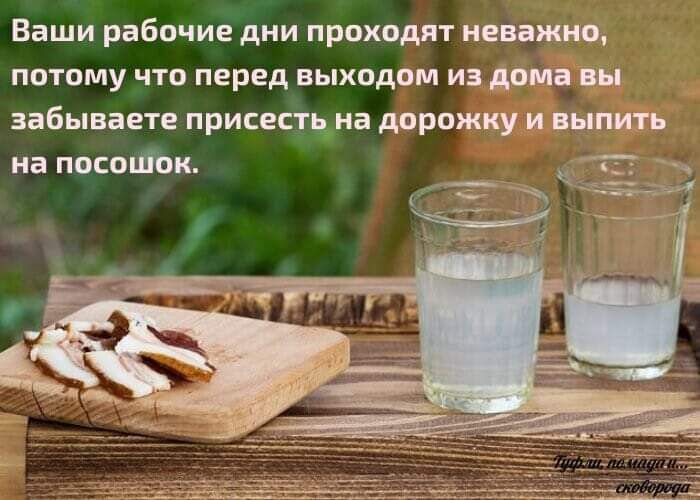Ваши рабочие дни проходят неважно потому что перед выходом из домаііі забываете присестзна дорожку и выпить на посоЦіок