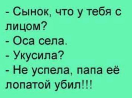 Сынок что у тебя с лицом Оса села Укусила Не успела папа её лопатой убил