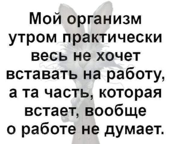 Мой организм утром практически весь не хочет вставать на работу а та часть которая встает вообще о работе не думает