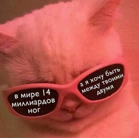 в мире мимиаР5 НОГ