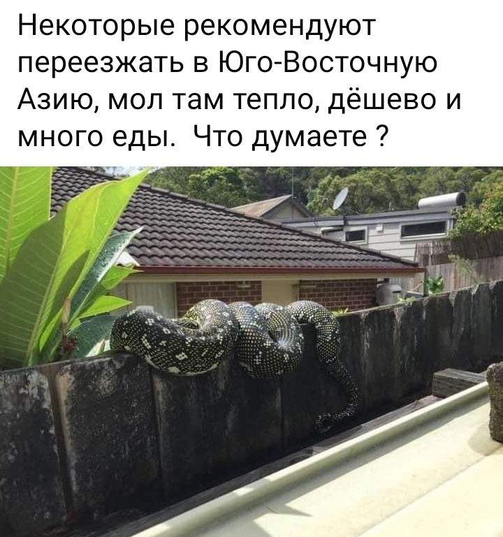 Некоторые рекомендуют переезжать в Юго Восточную Азию мол там тепло дёшево и много еды Что думаете