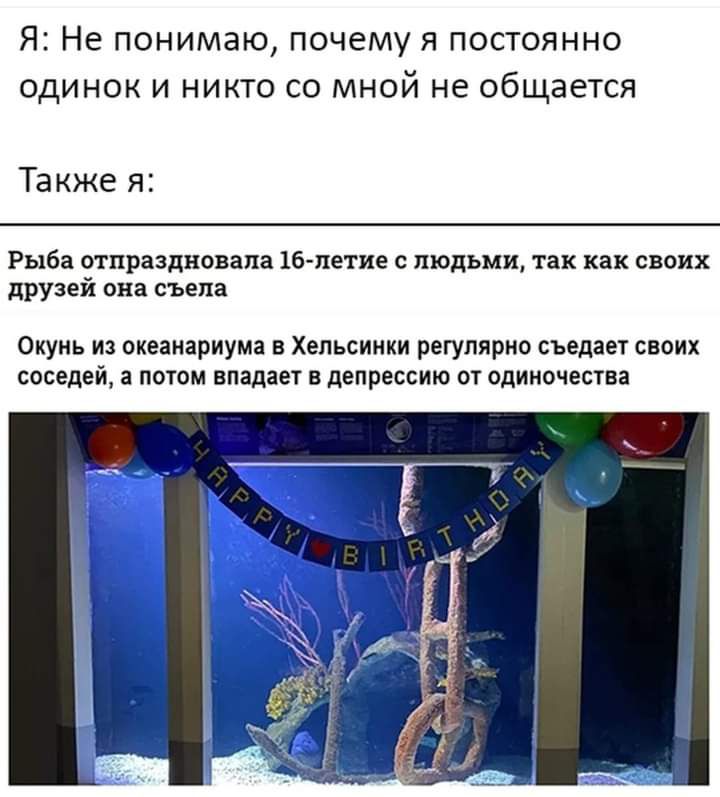 Я Не понимаю почему я постоянно одинок и никто со мной не общается Также я Рыба отпраздновала 16 летие с людьми так как своих друзей она съела Окунь из океанариуме в Хельсинки регулярно съедает своих соседей а потом впадает в депрессию от одиночества