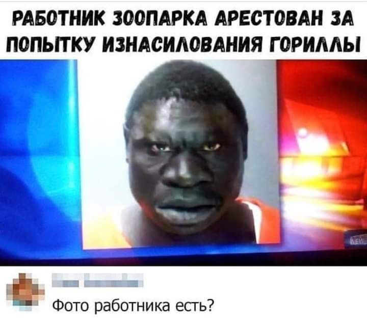 РАБОТНИК ЗООПАРКА АРЕСТОВАН ЗА АПОНЬПКУ ИЗНАСИЛОВАНИЯ Г ОРИААЫ Фото работника есгь