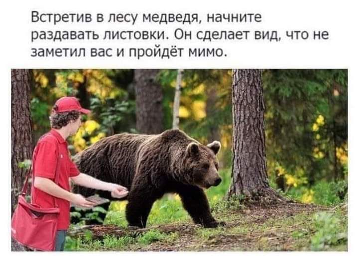 Встретив в лесу медведя начните раздавать листовки Он сделает вид что не заметил вас и пройдёт мимо
