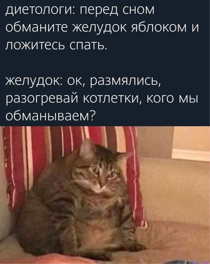 диетологи перед сном обманите желудок яблоком и ложитесь спать желудок ок размялись разогревай котлетки кого мы обманываем