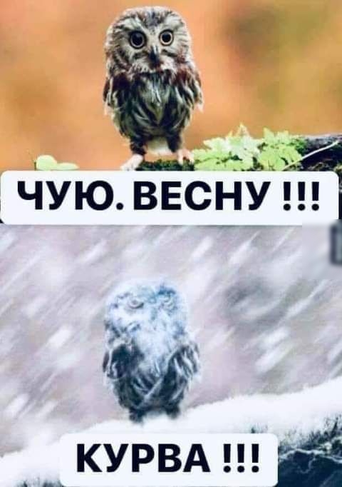 415 _ ЧУЮ ВЕСЁУЧ курвд Ё