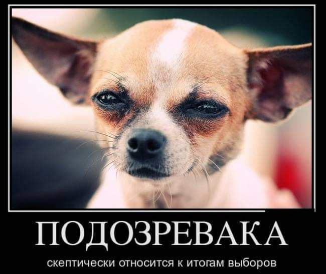 ПОДОЗРЕВАКА СКЕПТИЧЕСКИ ОТНОСИТСЯ К ИТОГЗМ ВЫБОРОВ