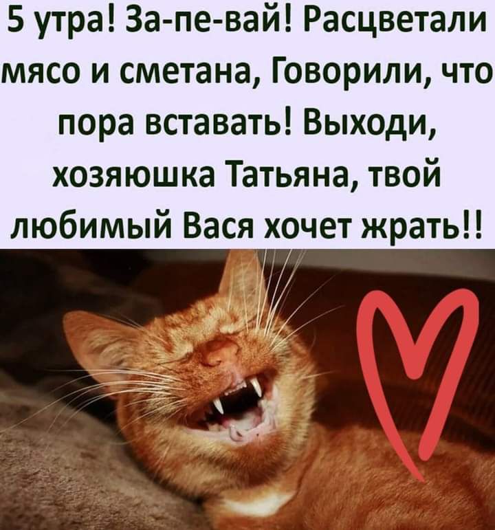 5 утра За пе вай Расцветали мясо и сметана Говорили что пора вставать Выходи хозяюшка Татьяна твой любимый Вася хочет жрать