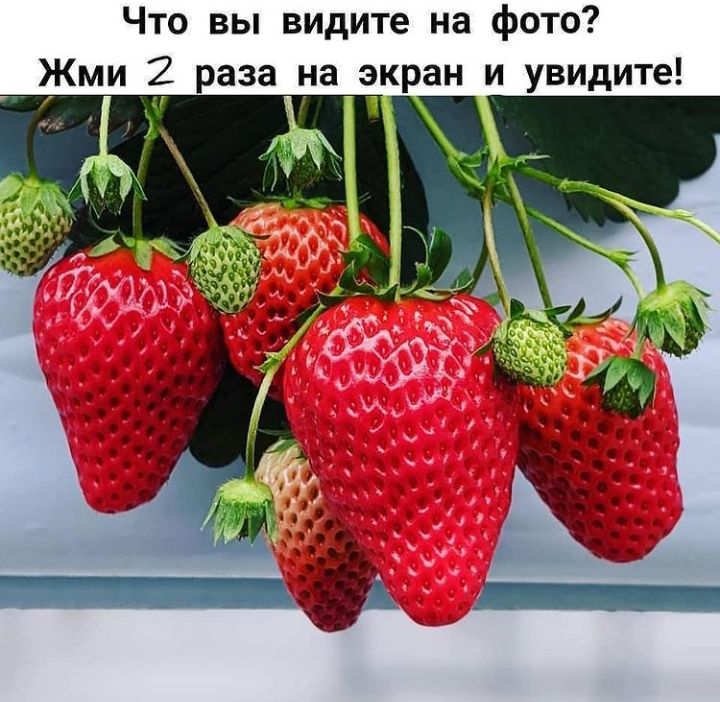 Что вы видите на фото Жми 2 раза на экран и увидите