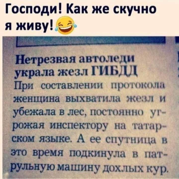 Господи Как же скучно я живу автоледи украла жезл ГИБДД При составлении прошколо Ётевщина выхватила жезл и ьд убивалавлес постоянно уг рожая инспектору на татр А ее спутница в тдкинула в пат иашину дохлых кур