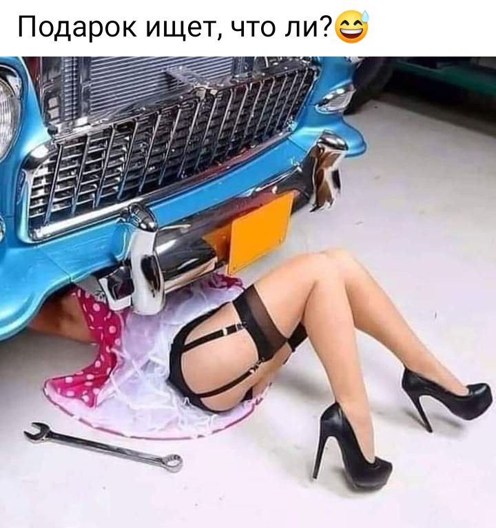 Подарок ищет что ли