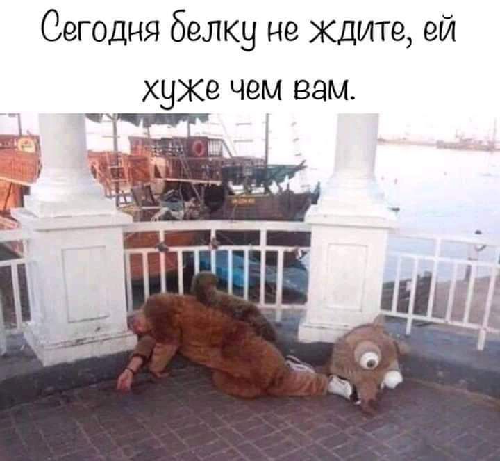 Сегодня белку не ждите ей хуже чем вам ТЧ