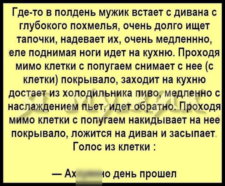 Где то в полдень мужик встает с дивана с глубокого похмелья очень долго ищет тапочки надевает их очень медленнно еле поднимая ноги идет на кухню Проходя мимо клетки попугаем снимает с нее с клетки покрывало заходит на кухню достает из холодильника пиво медленно с наслаждением пьет идет обратно Проходя мимо клетки с попугаем накидывает на нее покрывало ложится на диван и засыпает Голос из клетки Ах