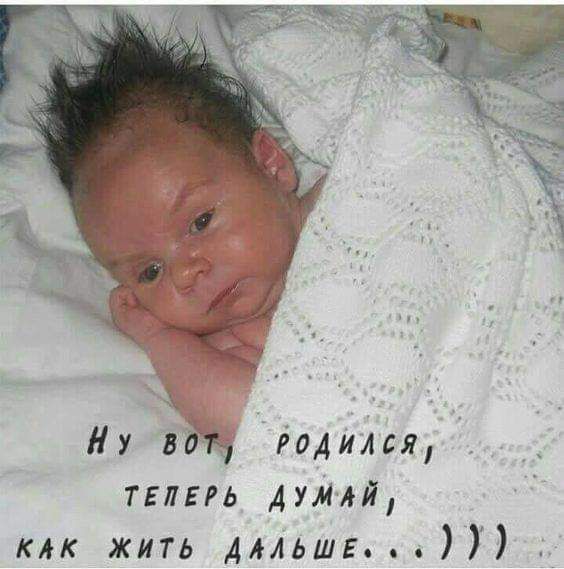 Родился тглггь думы как жить дмьшг 7