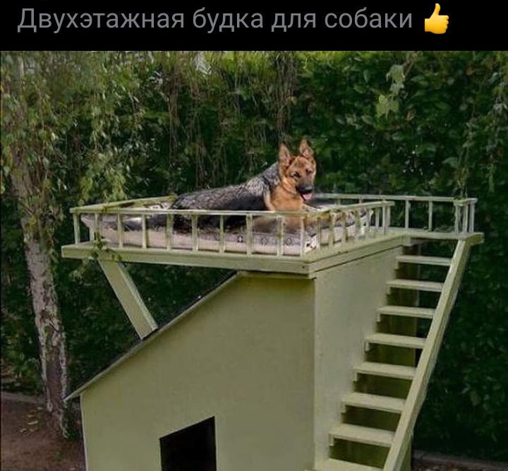 Двухэтажная будка для собаки