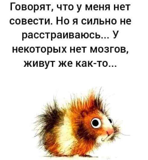Говорят что у меня нет совести Но я сильно не расстраиваюсь У некоторых нет мозгов живут же как то