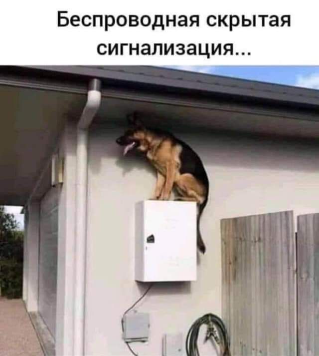 Беспроводная скрытая СИГНЭЛИЗЭЦИЯ