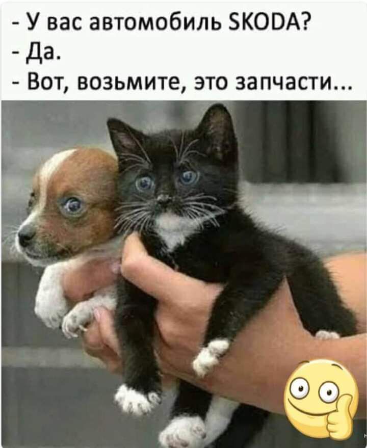 У вас автомобиль ЗКОВА Да ВОТ возьмите ЭТО ЗЗПЧЗСТИ