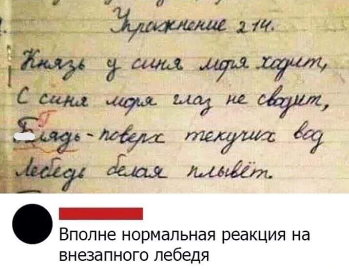117 ищщкгсёуш Ё _ ВПОЛНЕ НОРМдЛЬНдЯ реакция на ВНЭЗЭПНОГО лебедя _ е