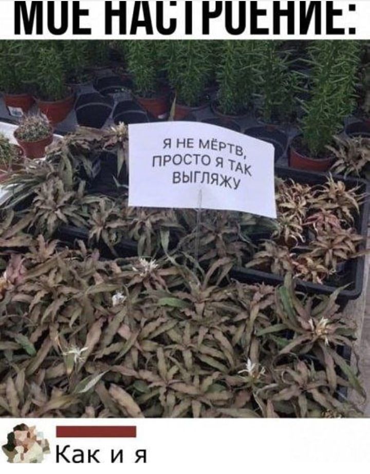 д _ РАКак и я