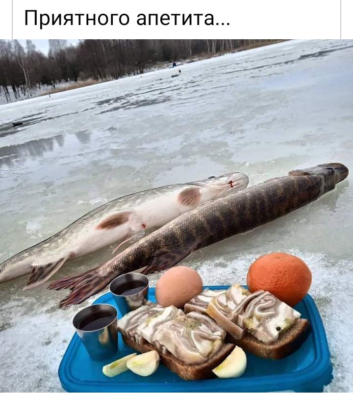 ПРИЯТНОГО апетита
