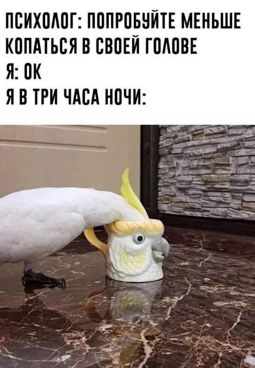 ПБИХШШГ ПППРПБНЙТЕ МЕНЬШЕ КППАТЬСЯ В СВПЕЙ ГШШВЕ Я Ж Я В ТРИ ЧАСА НПЧИ