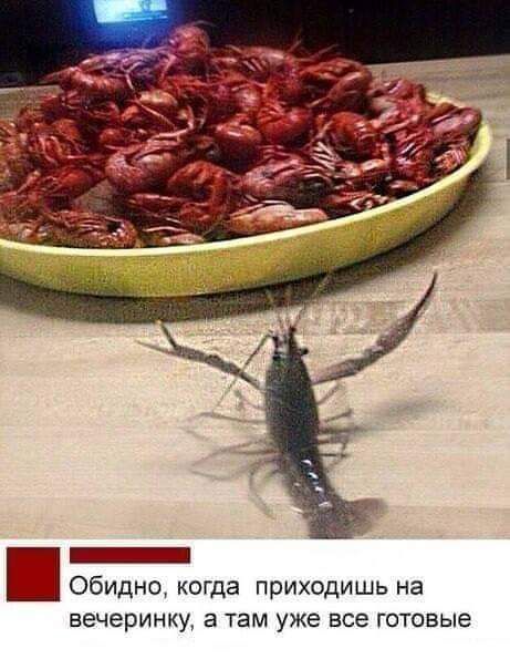 _ Обидно когда приходишь на вечеринку 3 Там уже все ГОТОВЫЕ