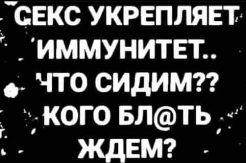 дсвкс укрепляет иммунитет что сидимтг кого БЛТЬ _ ждвмг