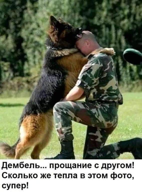 Сколько же тепла в этом фото супер