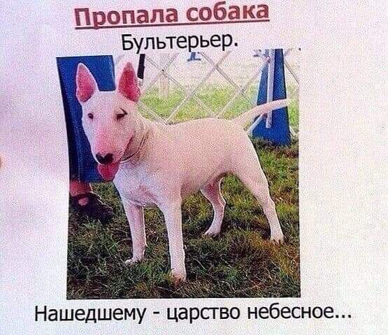 Бультевьер Нашедшему царство небесное