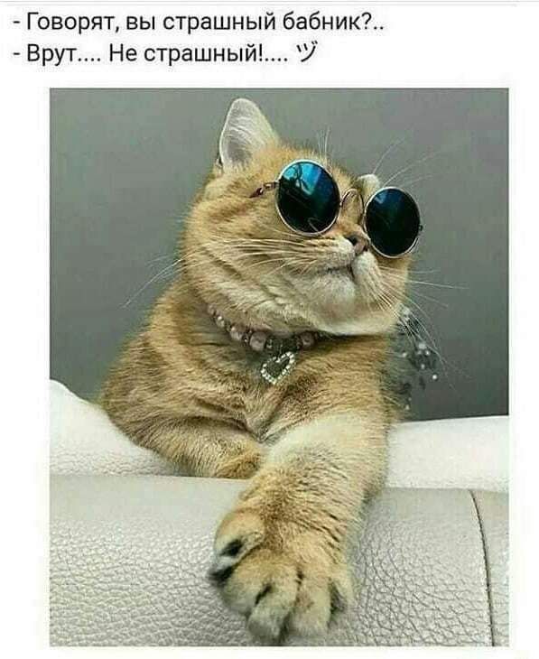 Говорят вы страшный бабник Врут Не страшный