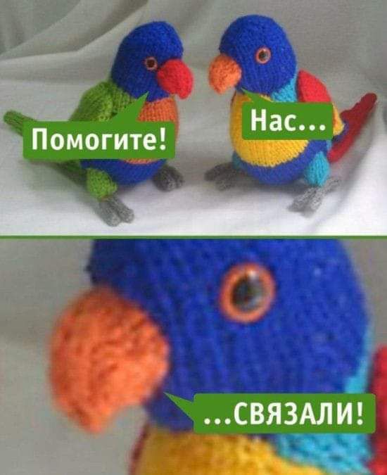 іь сВяЗАЛИ