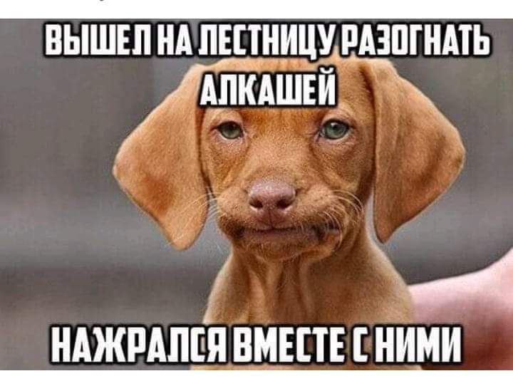 ВЫШЕП НА ПЕПНИЦУ РАЗШНМЬ НАЖРАПЁЯВМЕПЕ НИМИ