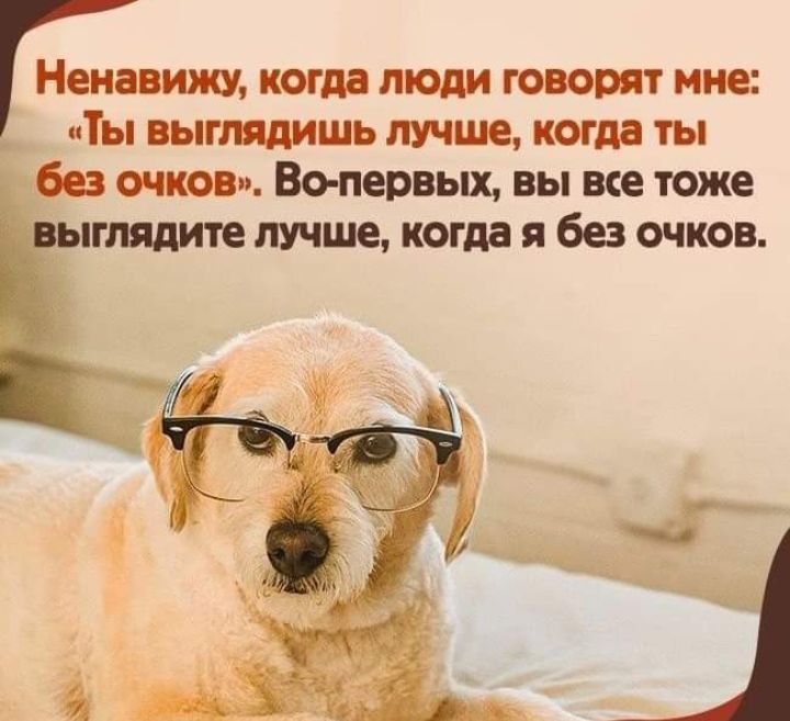 Ненавижу когда люди говорит мне __ Ты выгтдишь лучше когда ты 603 очков Во первых вы вге тоже _ыглядите лучше когда я без очков