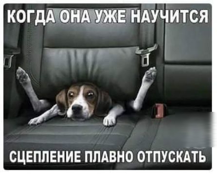 КОГДАЖОНйШЖЕХНАУЧИТСЯ СЦЕПЛЕНИЕ ПЛАВНО ОТПУСКАТЬ
