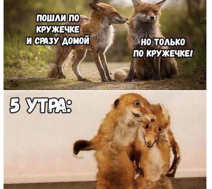 пошли по тжвчкн _ _ и сразу домой но горько по тачке