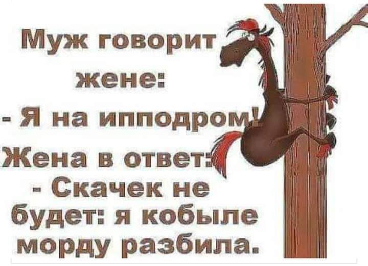 Муж говорит жене Я на ипподро Жена в ответ Скачек не будет я кобыле морду разбила