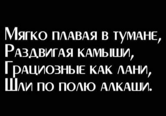 Мягко ПААВАЯ в тумдне РАЗАВИГАЯ КАМЫШИ ГрАциозныв кдк ААНИ ШАИ по ПОАЮ ААКАШИ