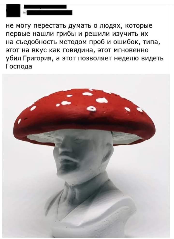 не могу перестать думать о людях которые первые нашли грибы и решили изучить их на сьедобность методом проб и ошибок типа этот на вкус как говядина этот мгновенно убил Григория а этот позволяет неделю видеть Господа