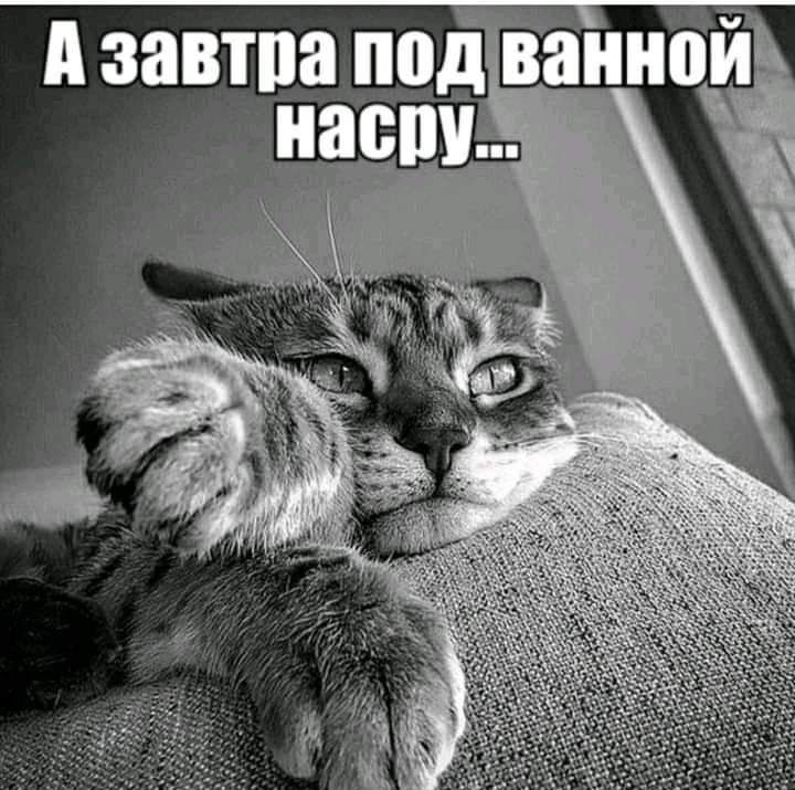 __ д ЗЯВПЮ под ВЗШЮИ