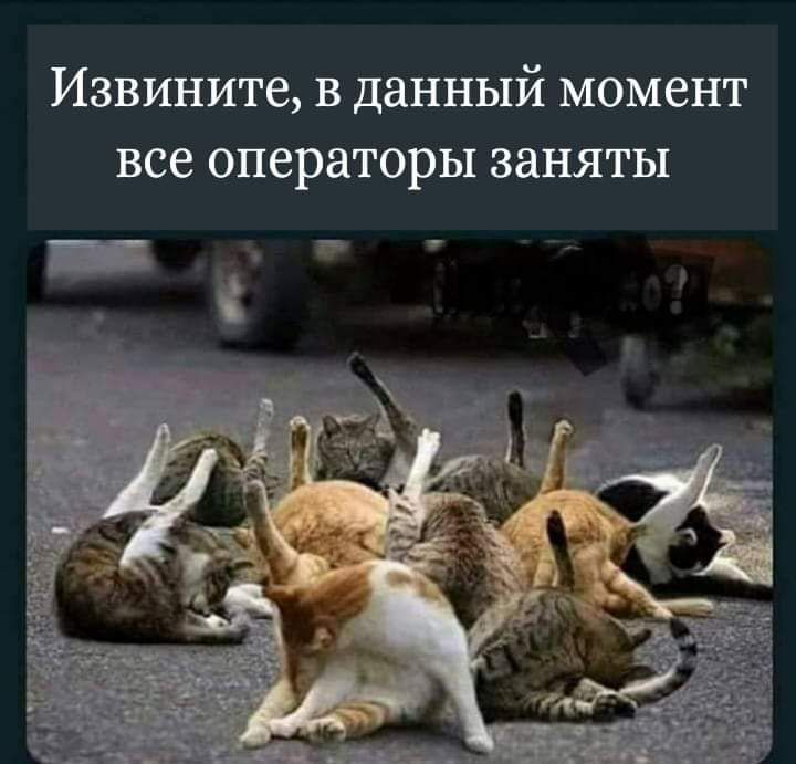 Извините В данный момент все операторы ЗЭНЯТЫ