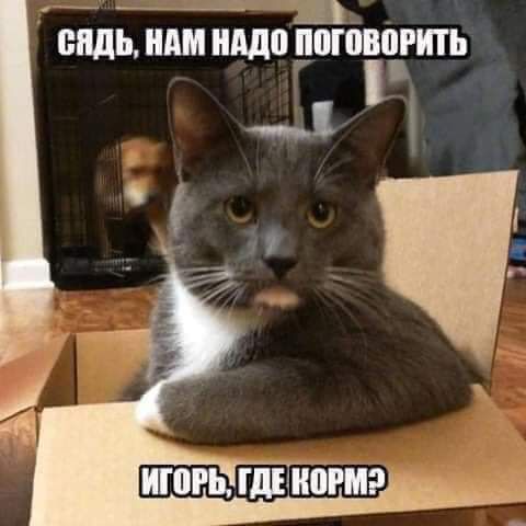 пядь НШ МЮ ШШЁЮРШ