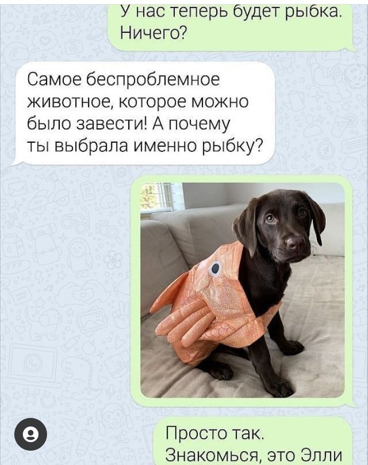 У нас теперь будет рыбка Ничего Самое беспроблемное животное которое можно было завести А почему ты выбрала именно рыбку Просто так Знакомься это Элли